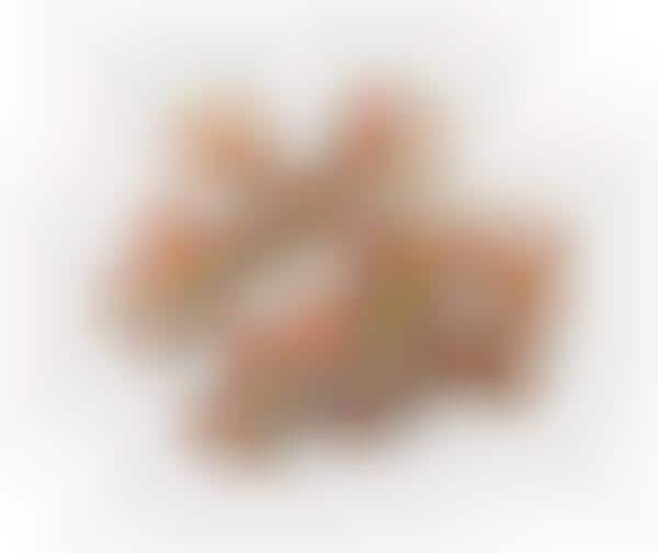 Suggested Intake Food Packaging