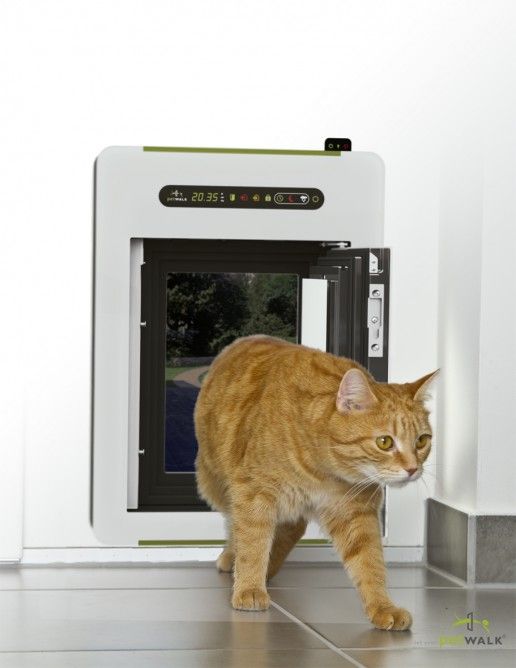 Automated Pet Doors