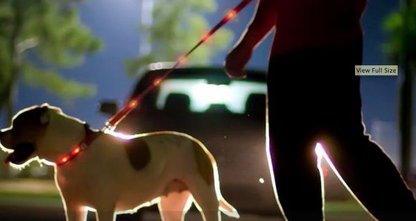LED Dog Collars