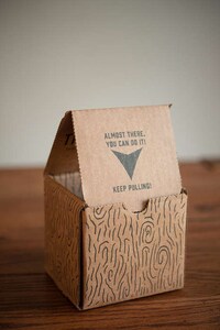 Illustrated Lumber Branding Image 4