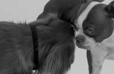 Adorable Canine Romance Parodies