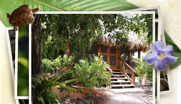11 Revitalizing Spring Travel Destinations