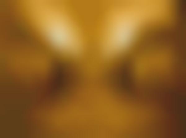 Balloon Architecture Exhibits