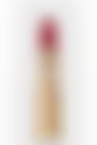 Daring Designer Lipsticks