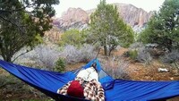 Multi-Purpose Hammocks Image 2