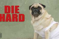 Pug Movie Makeovers