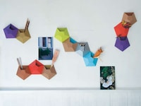 Colorful Barnacle Storage Designs Image 2