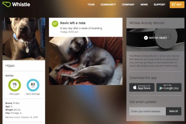Pet Newsfeed Apps