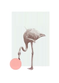 Daily Poster Designs Image 2