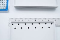 Dotted Accessory Decor Image 5