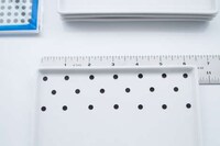 Dotted Accessory Decor Image 6