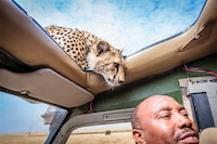 Over-Friendly Wildlife Photography Image 5