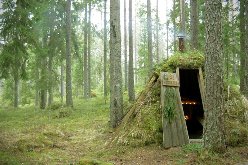 Moss Hut Hotels