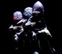 Eerie Infant Dancing Videos Image 2