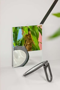 Deceiving Still Life Photography Image 4