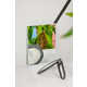 Deceiving Still Life Photography Image 4