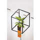 Deceiving Still Life Photography Image 7