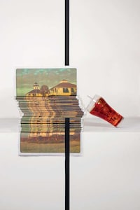 Deceiving Still Life Photography Image 8