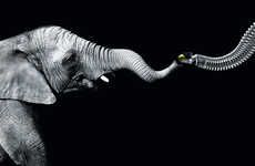 Elephant-Like Robotic Arms