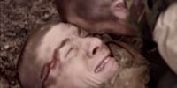 Trauma Guide Dog Commercials Image 7