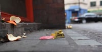 Fanciful Rubbish-Collecting Films Image 2