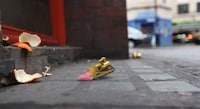 Fanciful Rubbish-Collecting Films Image 3