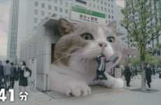 Bizarre Cat Gum Commercials