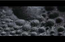 Resonating Symphonic Plant Spores