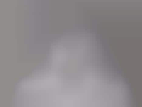Illusionary Coupled Busts