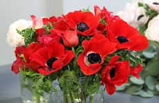 Eco-Friendly Flower Deliveries