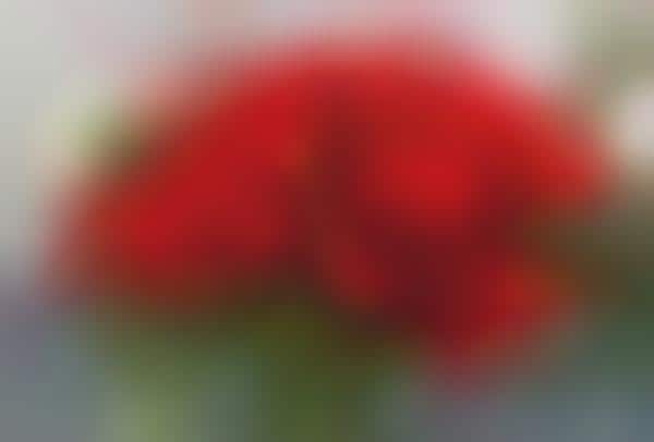 Eco-Friendly Flower Deliveries