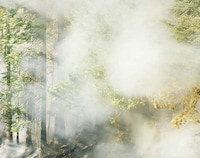 Whimsical Wildfire Photography Image 2