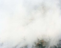 Whimsical Wildfire Photography Image 3