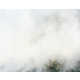 Whimsical Wildfire Photography Image 3