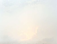 Whimsical Wildfire Photography Image 4