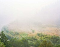 Whimsical Wildfire Photography Image 5