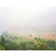 Whimsical Wildfire Photography Image 5