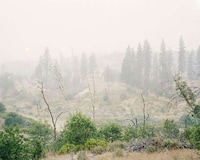 Whimsical Wildfire Photography Image 6