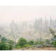 Whimsical Wildfire Photography Image 6