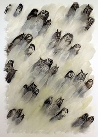 Image-Imprinted Bird Feathers Image 7