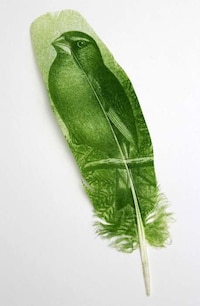 Image-Imprinted Bird Feathers Image 8
