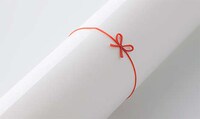 Beautiful Bow-Tied Elastics Image 2
