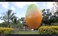 Missing Mango Marketing Stunts Image 2