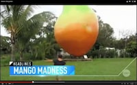 Missing Mango Marketing Stunts Image 6
