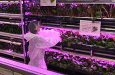 Illuminated Indoor Gardens