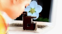 Powerful Mini Microscopes Image 4