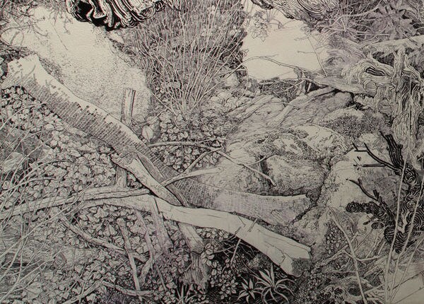 Sprawling Sharpie Murals Image 2