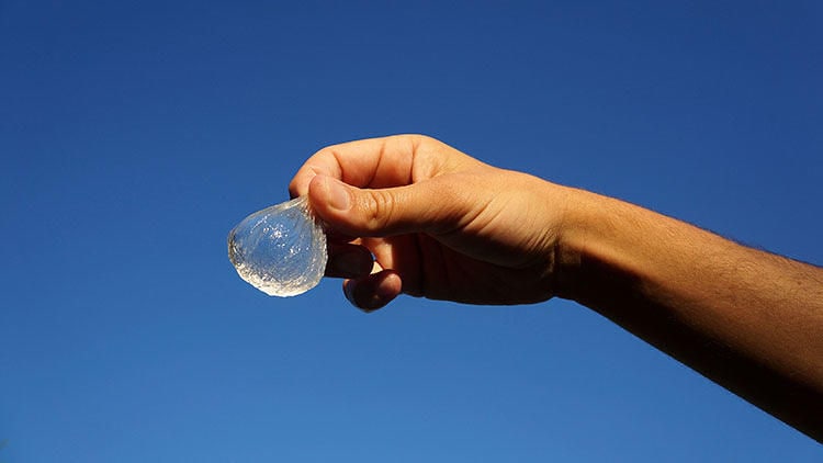Blob-Like Water Containers