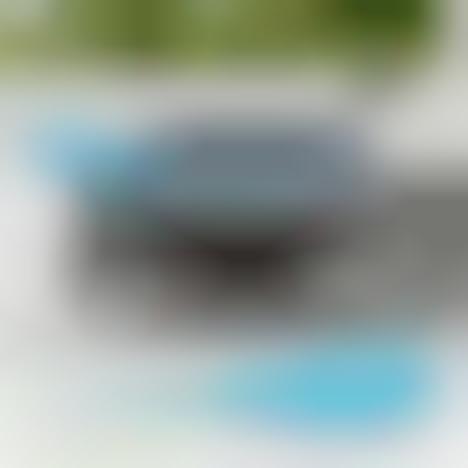 Avian Cooking Utensils