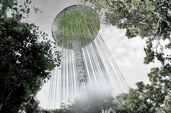 Rainforest Protection Skyscrapers
